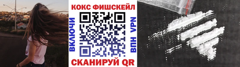 Cocaine Fish Scale  мега зеркало  Череповец 