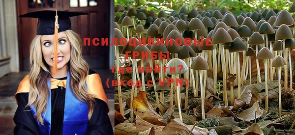 метадон Алзамай