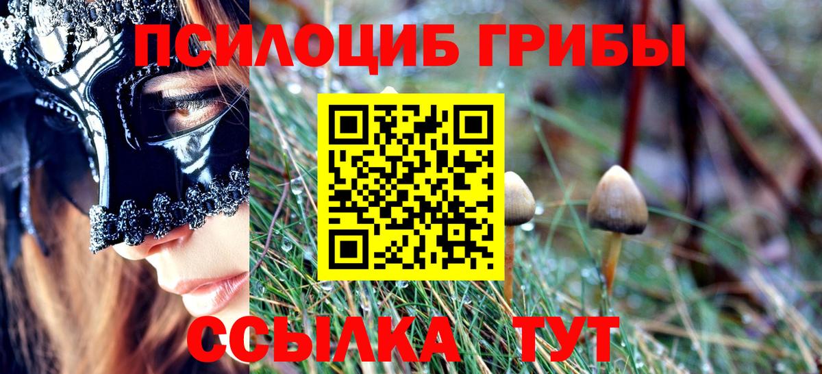 Галлюциногенные грибы прущие грибы Череповец