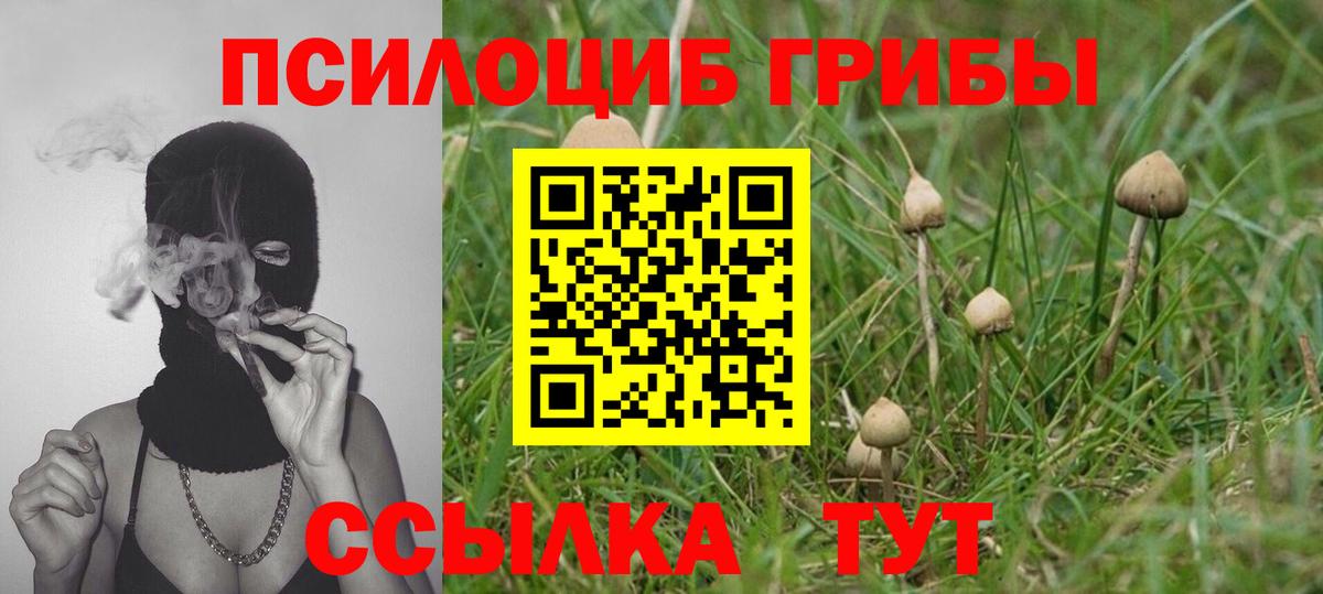 где можно купить наркотик  Галлюциногенные грибы ЛСД  Вход с VPN  Череповец 